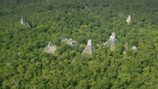 El Ayuntamiento decide no rehabilitar los chalés de Font Roja y los hará pasar por ruinas mayas